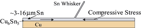 whiskers fig2