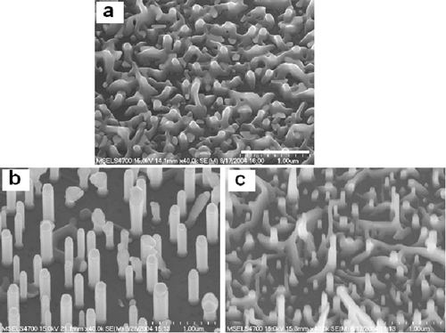 nanowire fig1