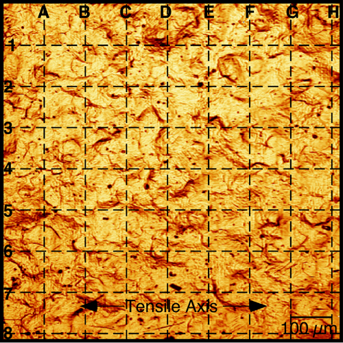 roughening fig1